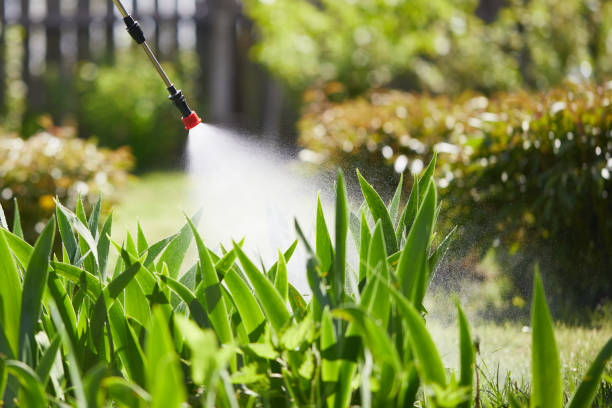 24/7 Emergency Ant Control experts in Point MacKenzie, AK