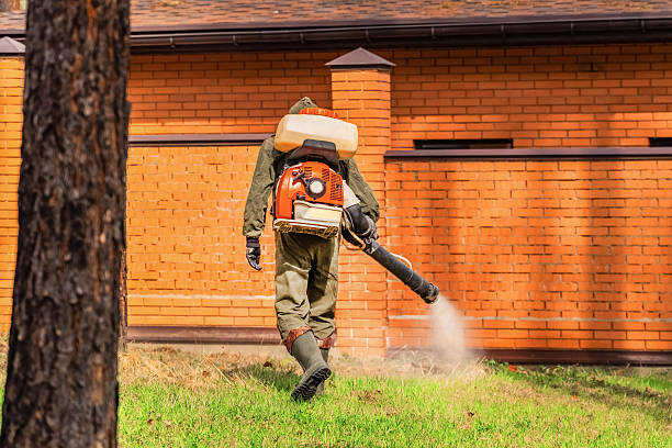 Top rated local Ant Control specialists in Point MacKenzie, AK